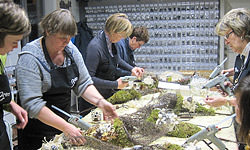 Picture: Windlicht KVLV Buken