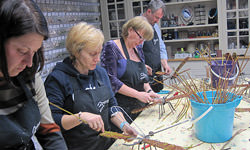 Picture: Insecten vlechten