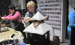 Picture: Vlechten dagen