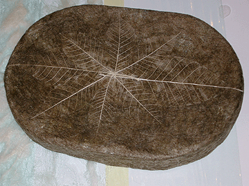 Picture: ../upload/IMG-83.gif