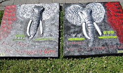 Picture: Powertex days 2013