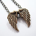 Picture: Wings bronsklei [cursist]