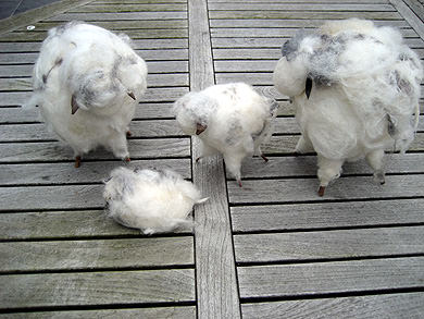 Picture: ../upload/IMG-974.jpg