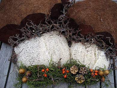 Picture: ../upload/IMG-981.jpg