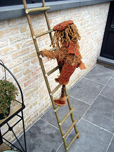 Picture: ../upload/IMG-991.jpg