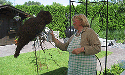 Picture: Uil in natuurmateriaal